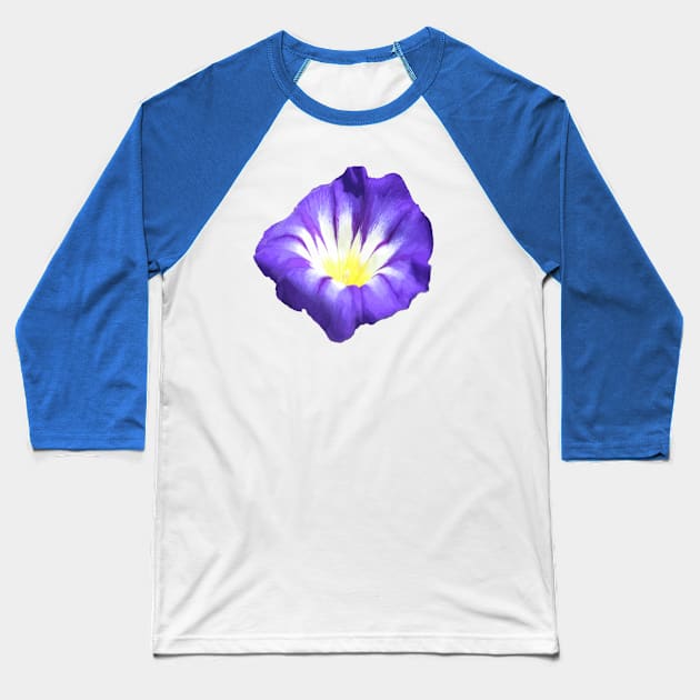 Dwarf Morning Glory Convolvolus Tricolor Vector Blue Baseball T-Shirt by taiche